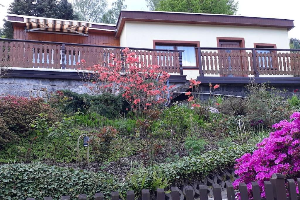 Bungalow Bluehende Oase Sebnitz Bagian luar foto
