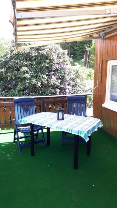 Bungalow Bluehende Oase Sebnitz Bagian luar foto